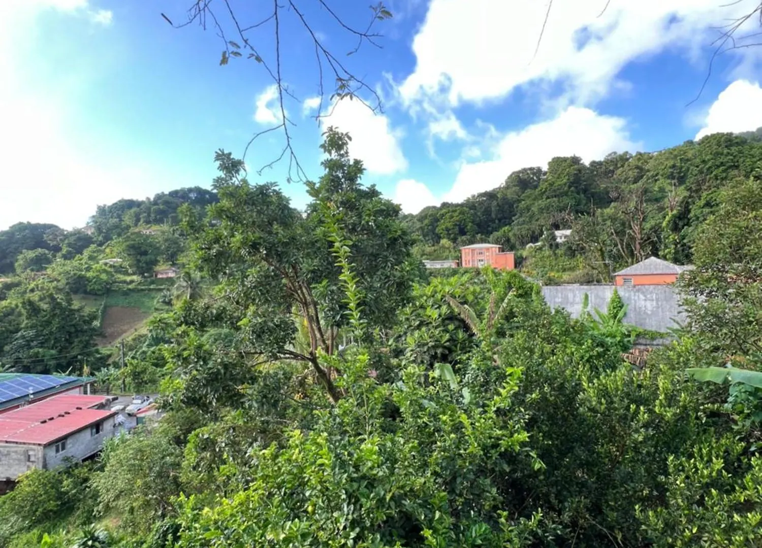 Le Ketmie Nature Et Decouverte Fond-Saint-Denis Martinique